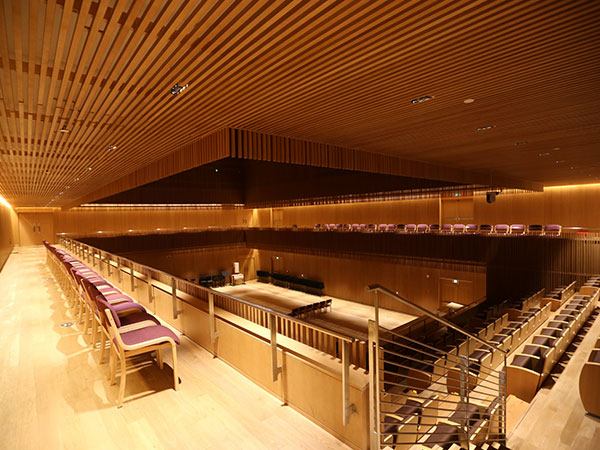 专业舞台音乐厅木地板