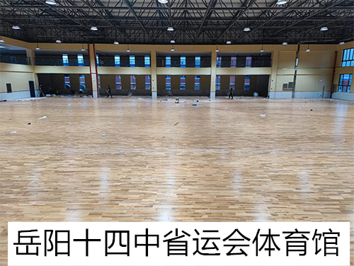 岳阳十四中省运会体育馆